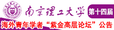 美女野外操b视频在线南京理工大学第十四届海外青年学者紫金论坛诚邀海内外英才！